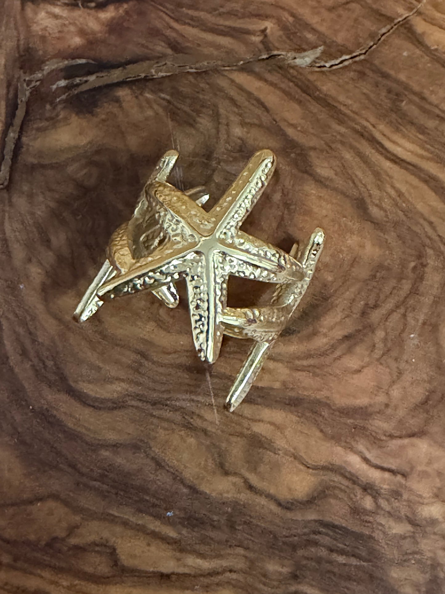 Anillo acero forma de estrella de mar