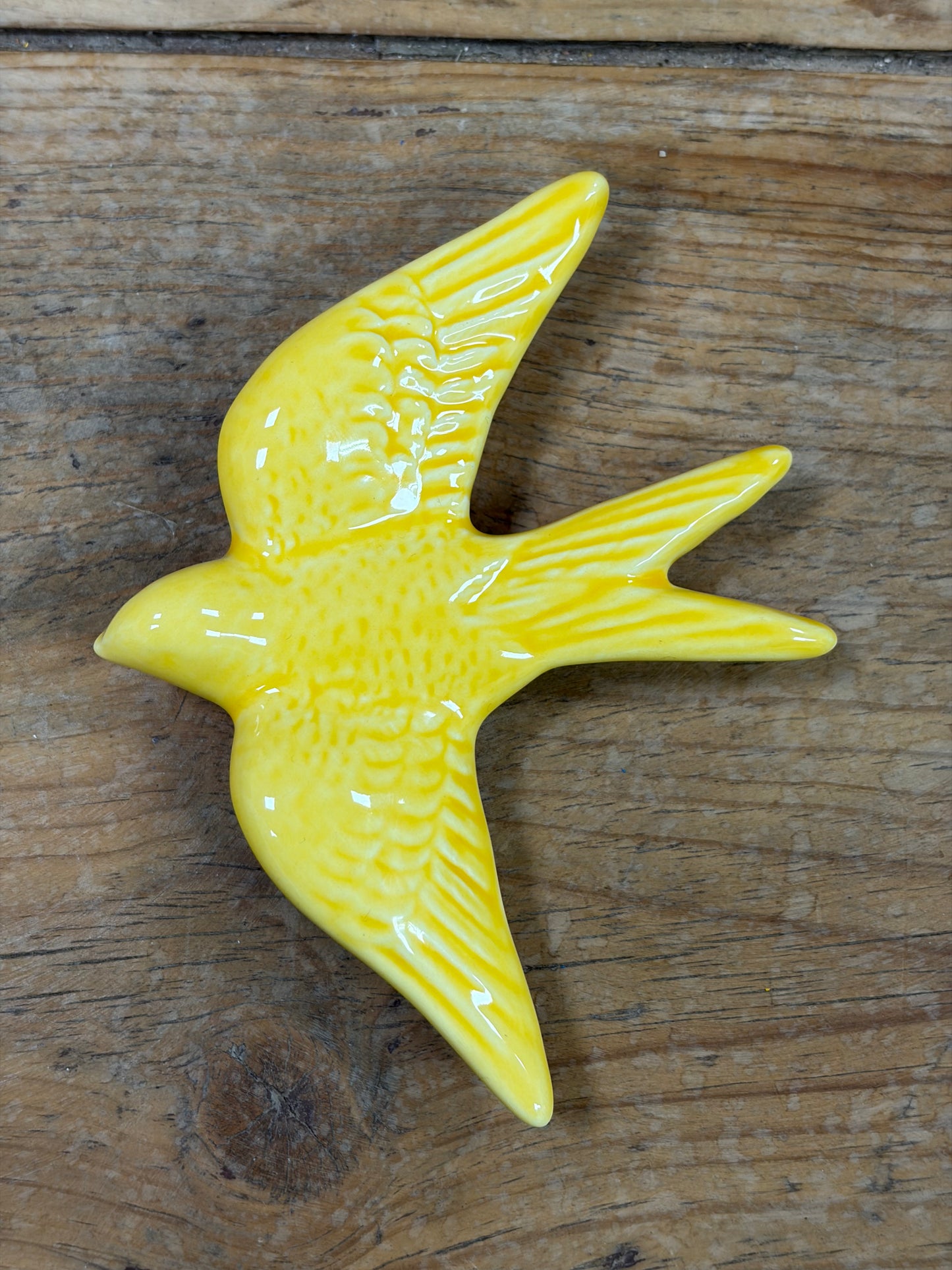 Golondrina grande