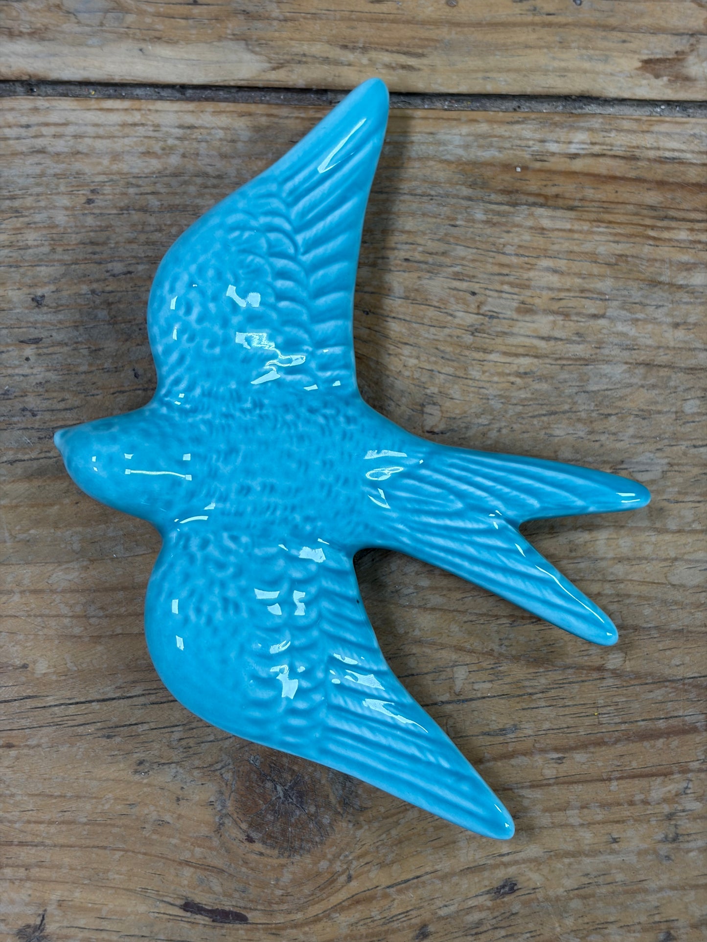 Golondrina grande